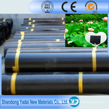 HDPE Geomembrane / Black Plastic Folie